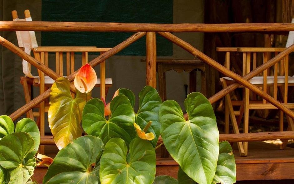 Simbamwenni Lodge And Camping Morogoro المظهر الخارجي الصورة