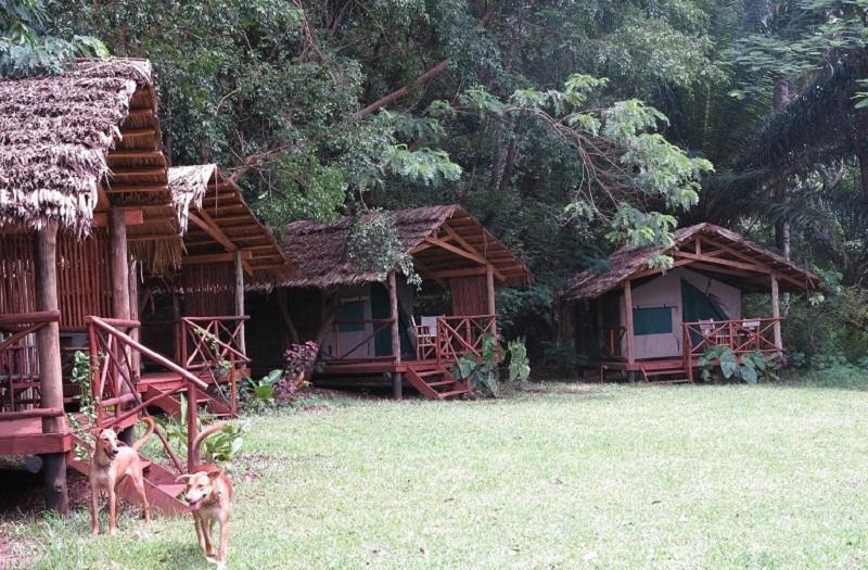 Simbamwenni Lodge And Camping Morogoro المظهر الخارجي الصورة