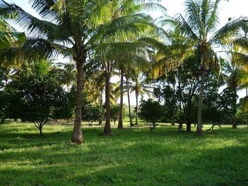 Simbamwenni Lodge And Camping Morogoro المظهر الخارجي الصورة